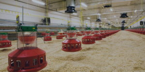 Feature Image ~ How To Use Agricultural Asset Finance To Upgrade Farm Equipment
